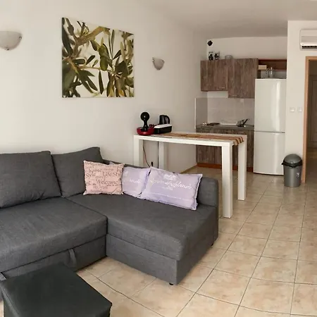 公寓 Charming 2-Bed Apartment In Necujam
